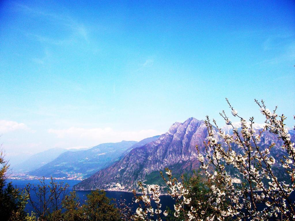 Hotel Poggio D'Oro Riva di Solto Εξωτερικό φωτογραφία